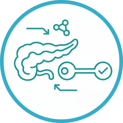 Supports Insulin Sensitivity