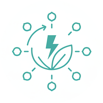 CoQ10 & Alpha Lipoic Acid